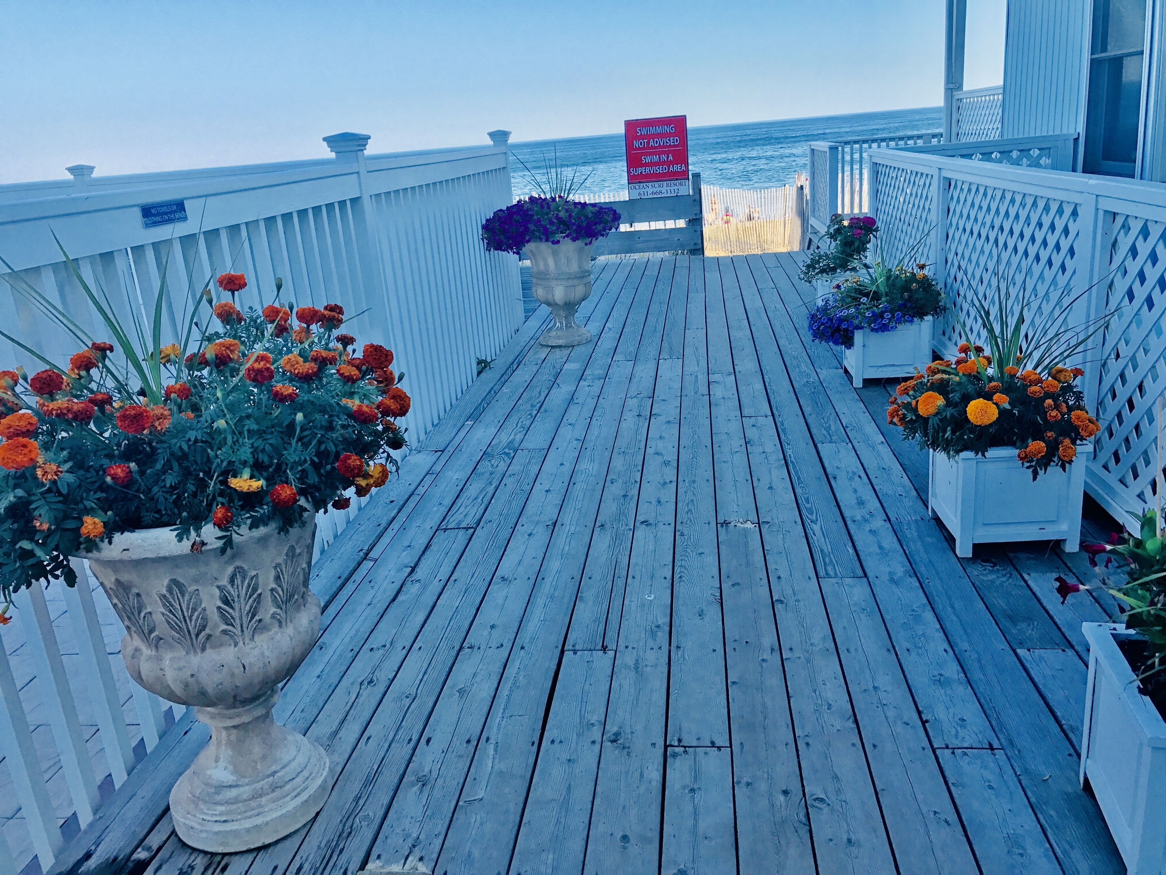 A wooden deck with potted flowers and a sign advising against swimming.
