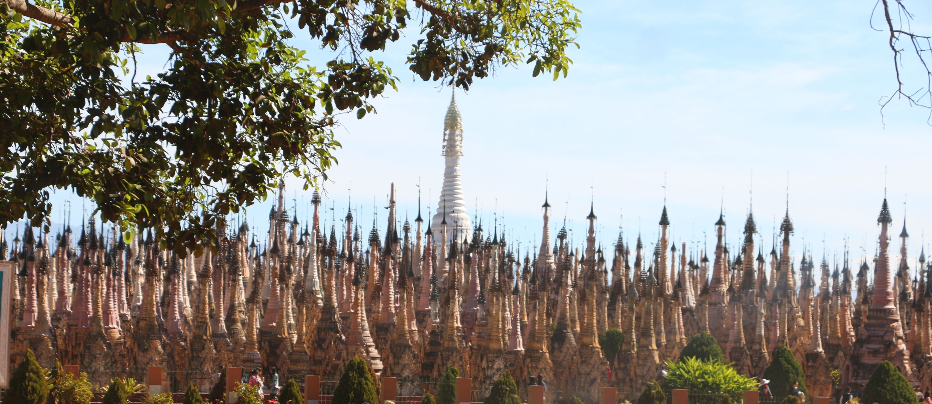 A dense forest of pagodas with a prominent central structure.