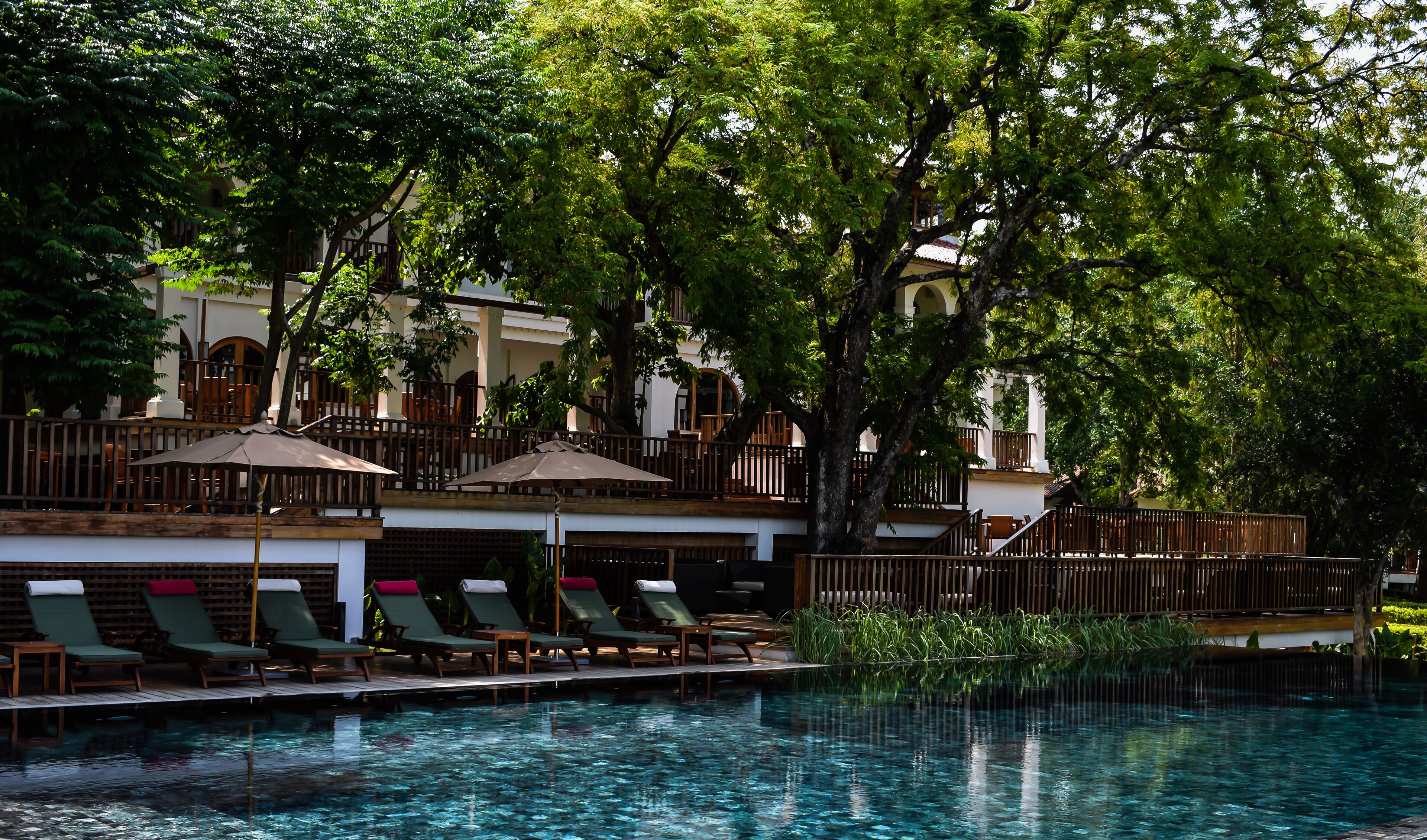 Zona de piscina con sillones de descanso y sombrillas, rodeada de exuberante vegetación y un edificio con balcones.