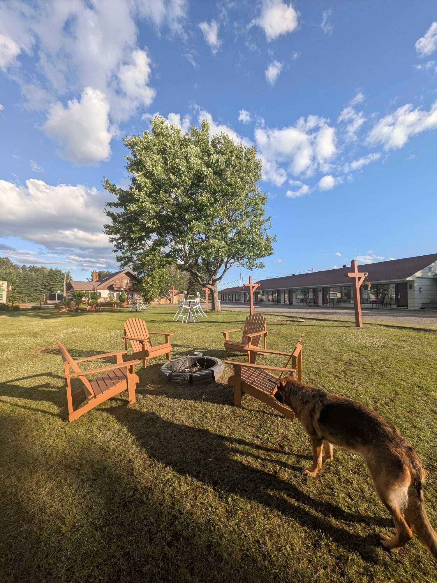 A grassy outdoor area with wooden chairs and a fire pit, a large tree, and a building with a cross in the background.