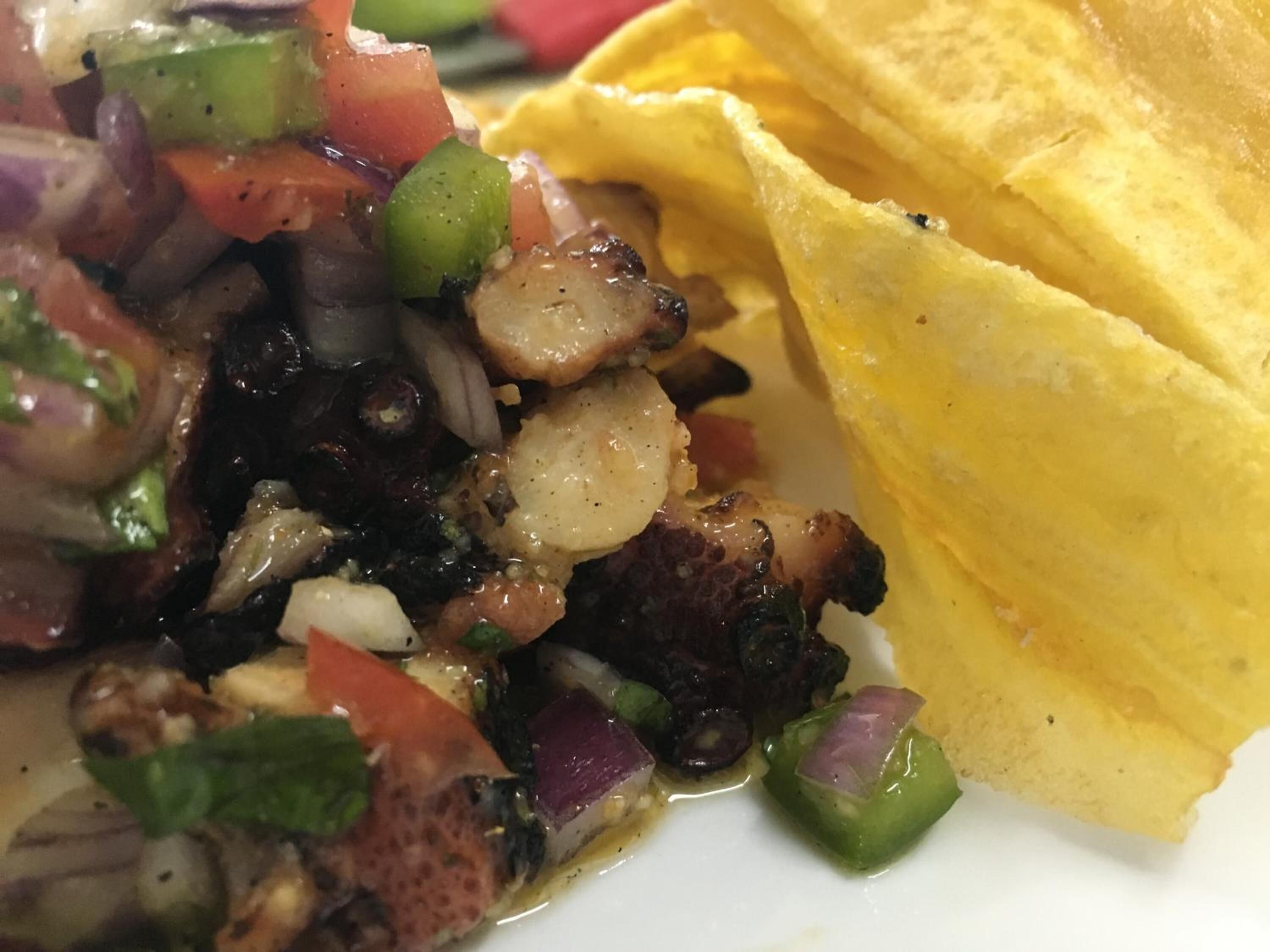 Un plato con un guiso de verduras y champiñones, y una tortilla enrollada.