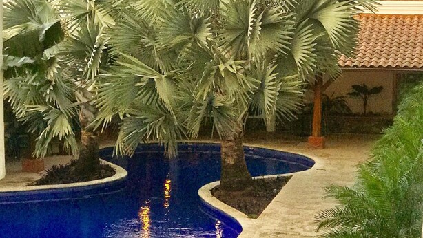 Una piscina rodeada de palmeras y una estructura de techo con tejas.