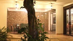 Un árbol en una maceta de piedra en un espacio interior bien iluminado, con un muro de piedra y una puerta al fondo.