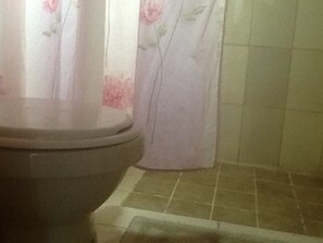 Habitación estándar | Baño | Regadera y toallas 