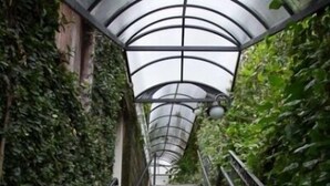 Un escalier en pierre avec des rampes en métal, entouré d’une végétation luxuriante et surmonté d’une structure en verre formant un plafond.