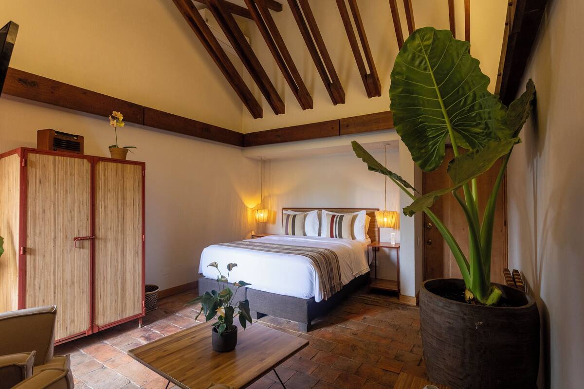 A bedroom with a bed, bedside lamps, a wooden wardrobe, and a large potted plant.