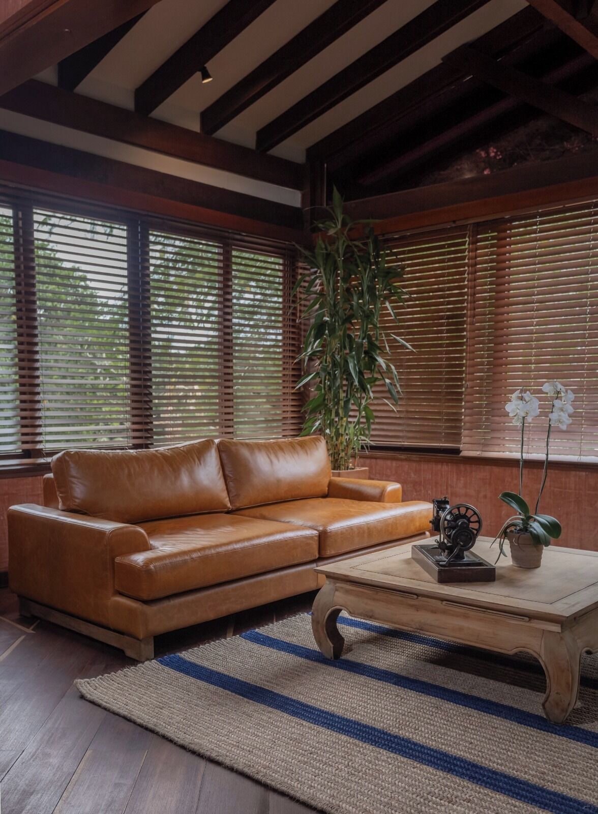 suite | living area | 30-inch tv with satellite channels