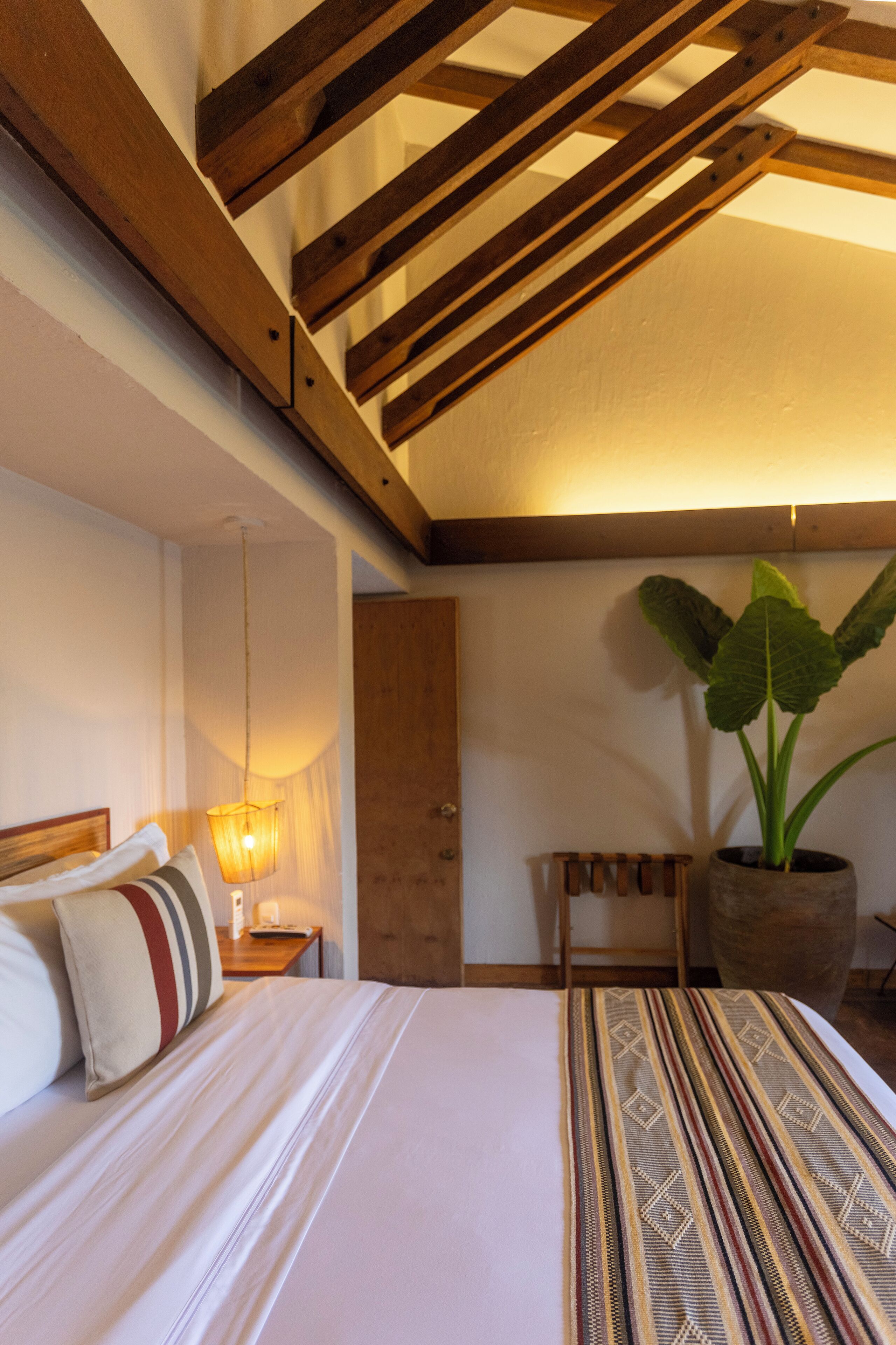 A bedroom with a bed, bedside lamp, wooden headboard, and a large potted plant.