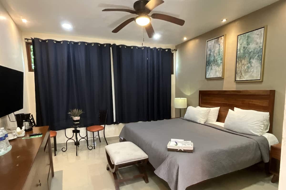 Habitación de hotel con cama, escritorio, silla, una mesita con una planta, ventilador de techo y obras de arte en las paredes.