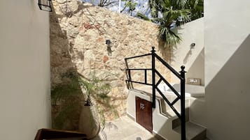 A staircase leading to a door with a stone wall behind it, a potted plant, and a wooden chair.