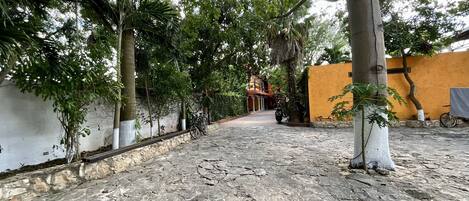 A courtyard with a stone pathway, trees, and a building with columns in the background.