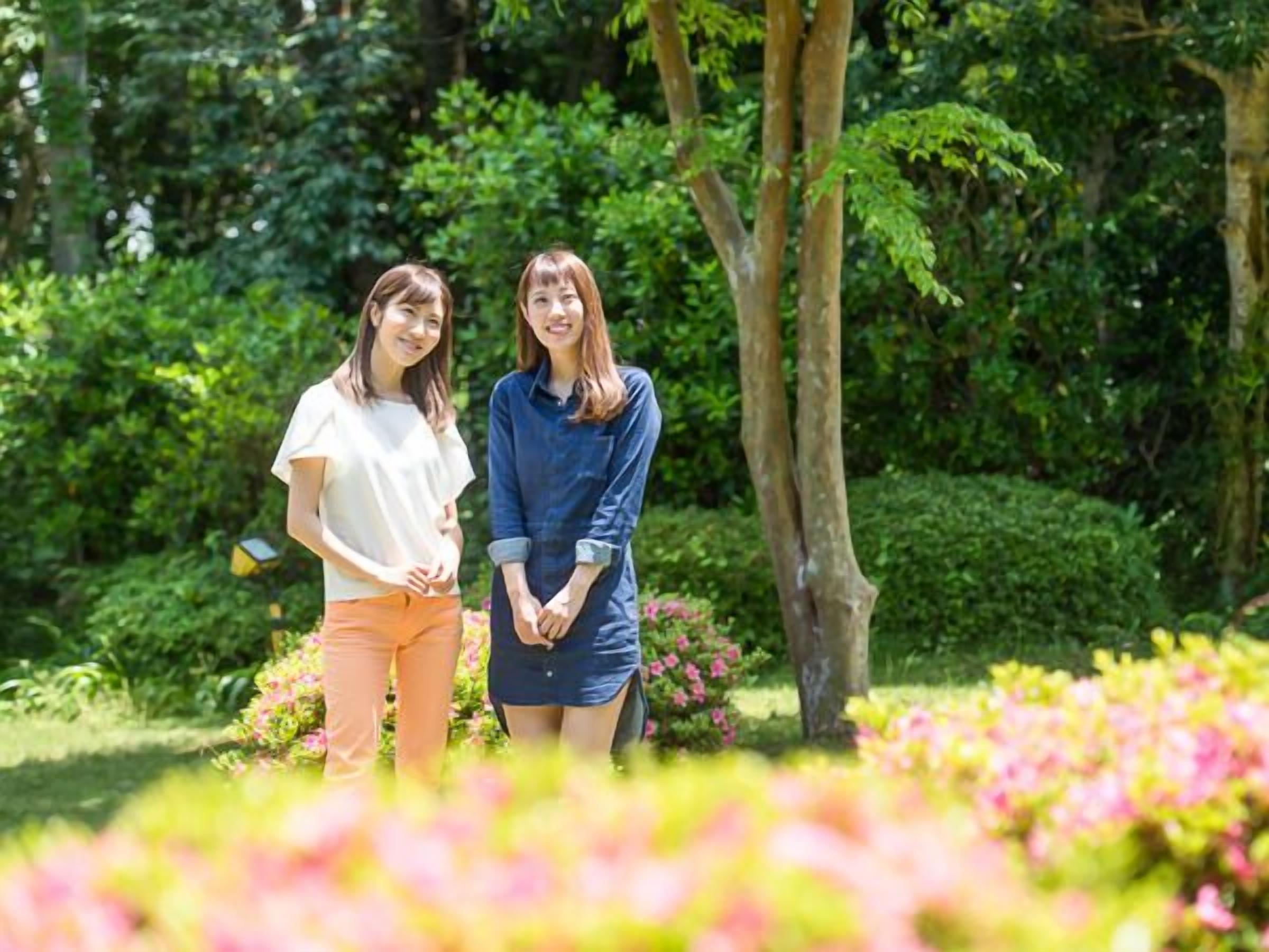 Servicio de la propiedad