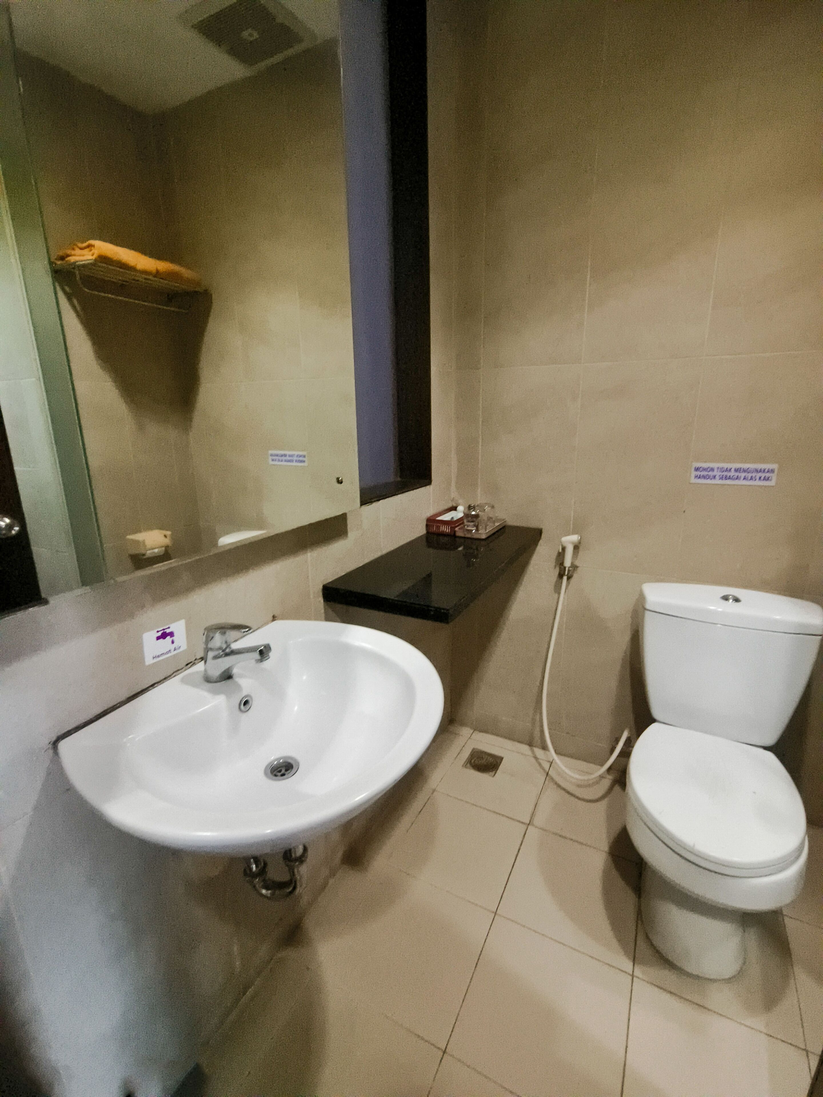 A bathroom with a white sink, a toilet, and a mirror.