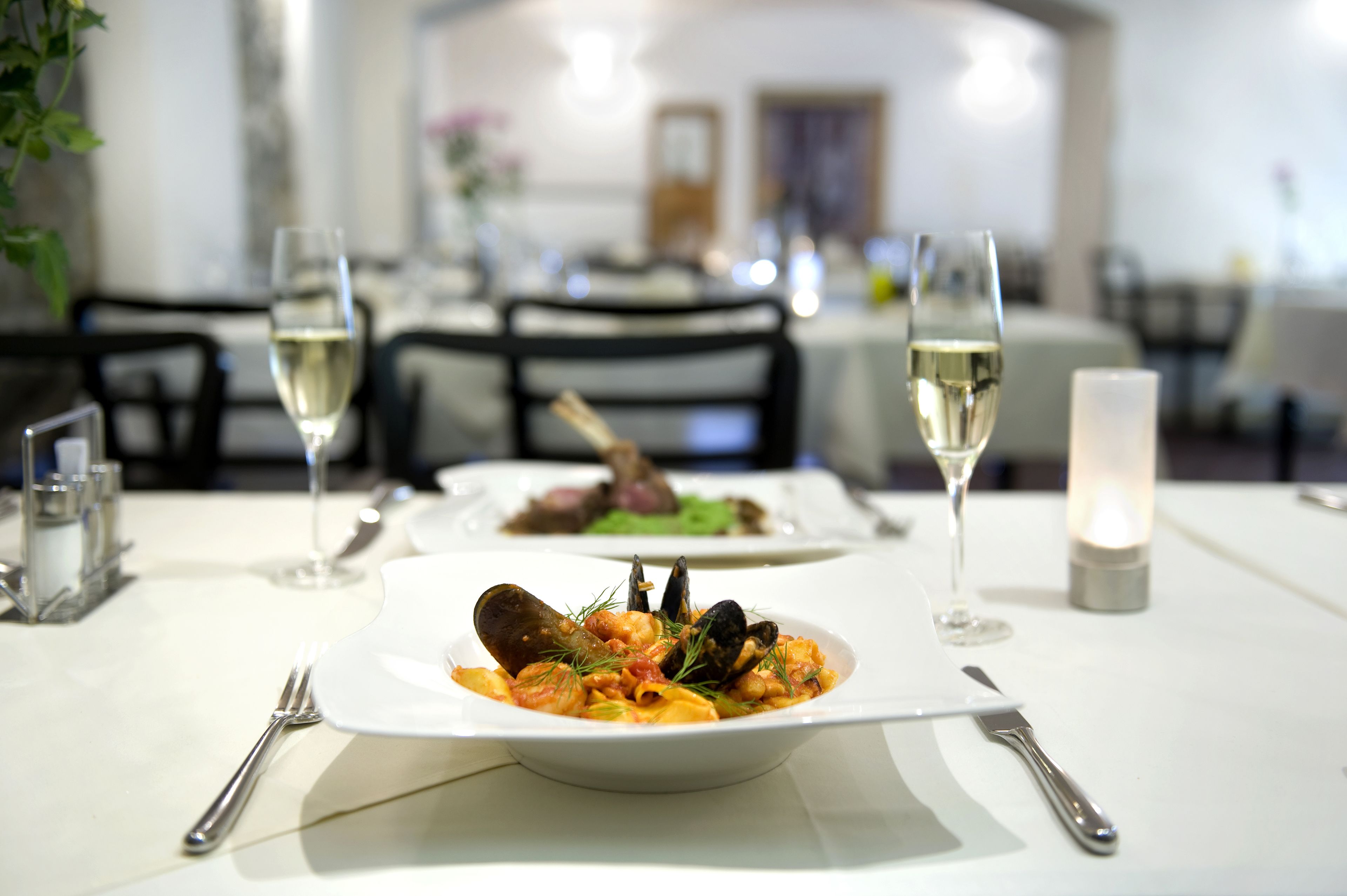 modern european cuisine