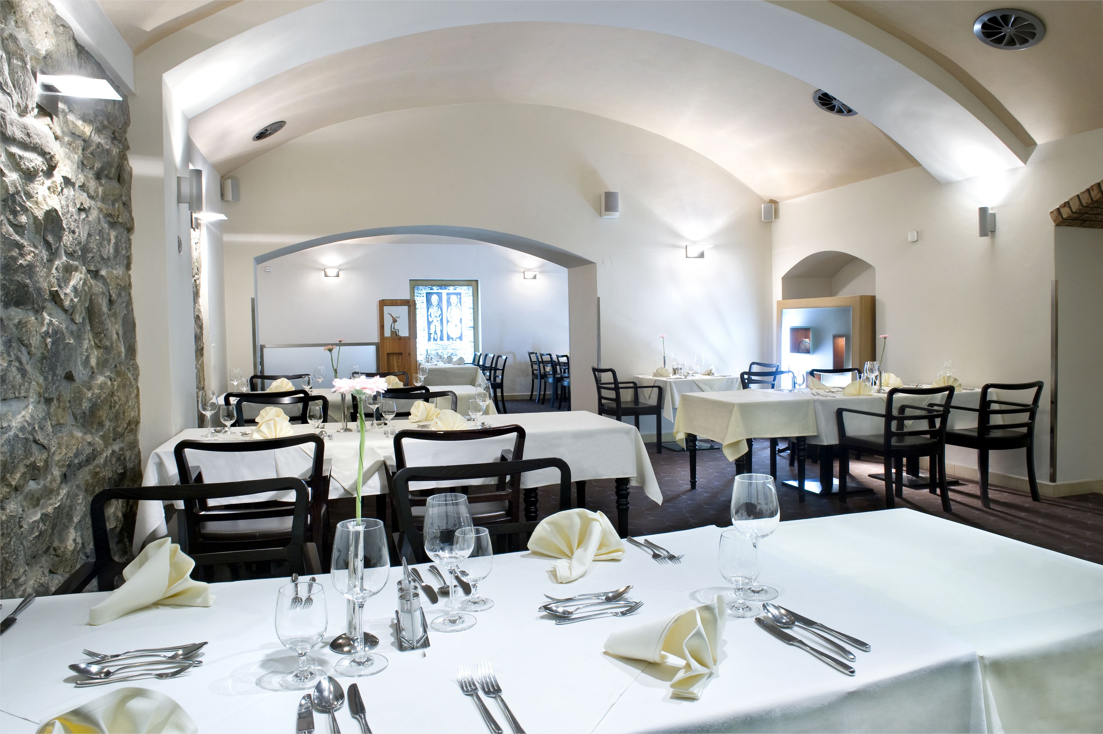 modern european cuisine