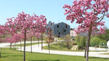 Uitzicht vanuit accommodatie