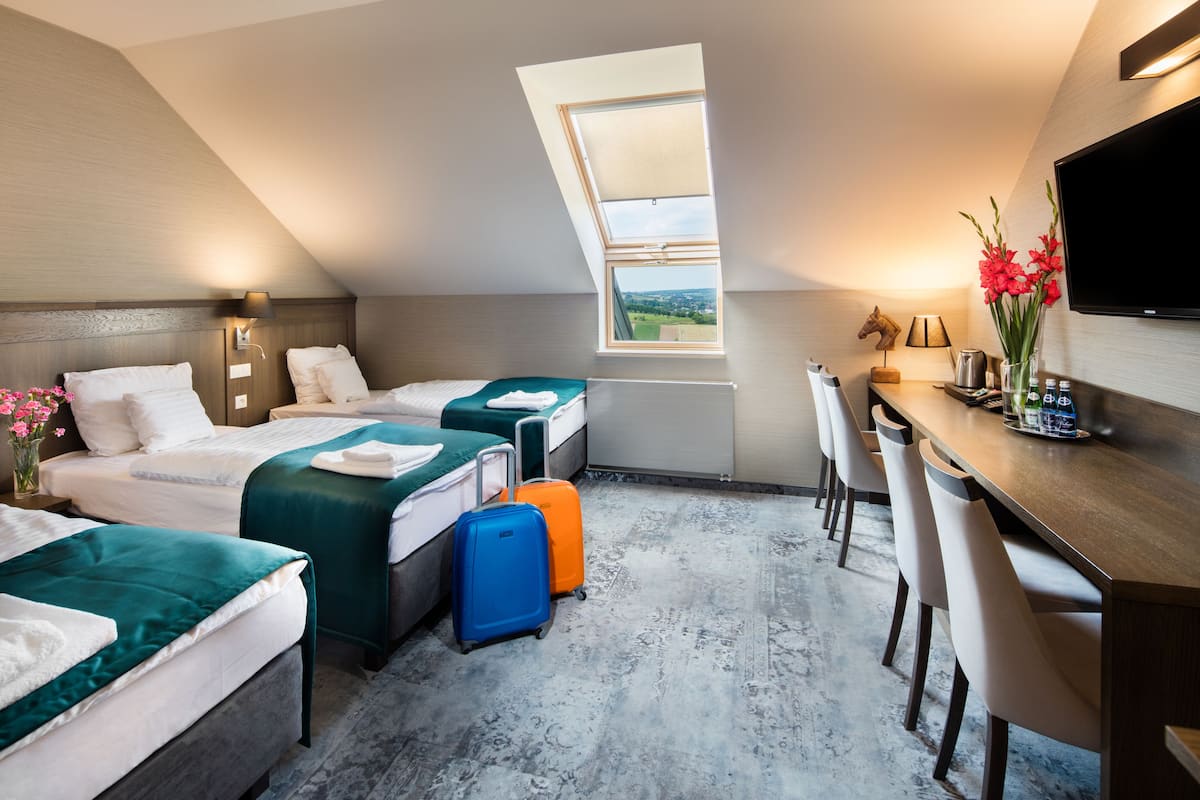 Standard Triple Room | Down comforters, desk, laptop workspace, iron/ironing board