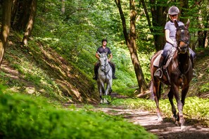 Hiking - Hotel Szary Residence (Michalowice)