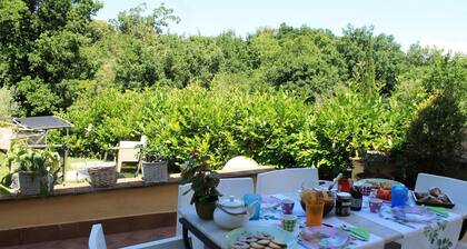Donna Etrusca B&B