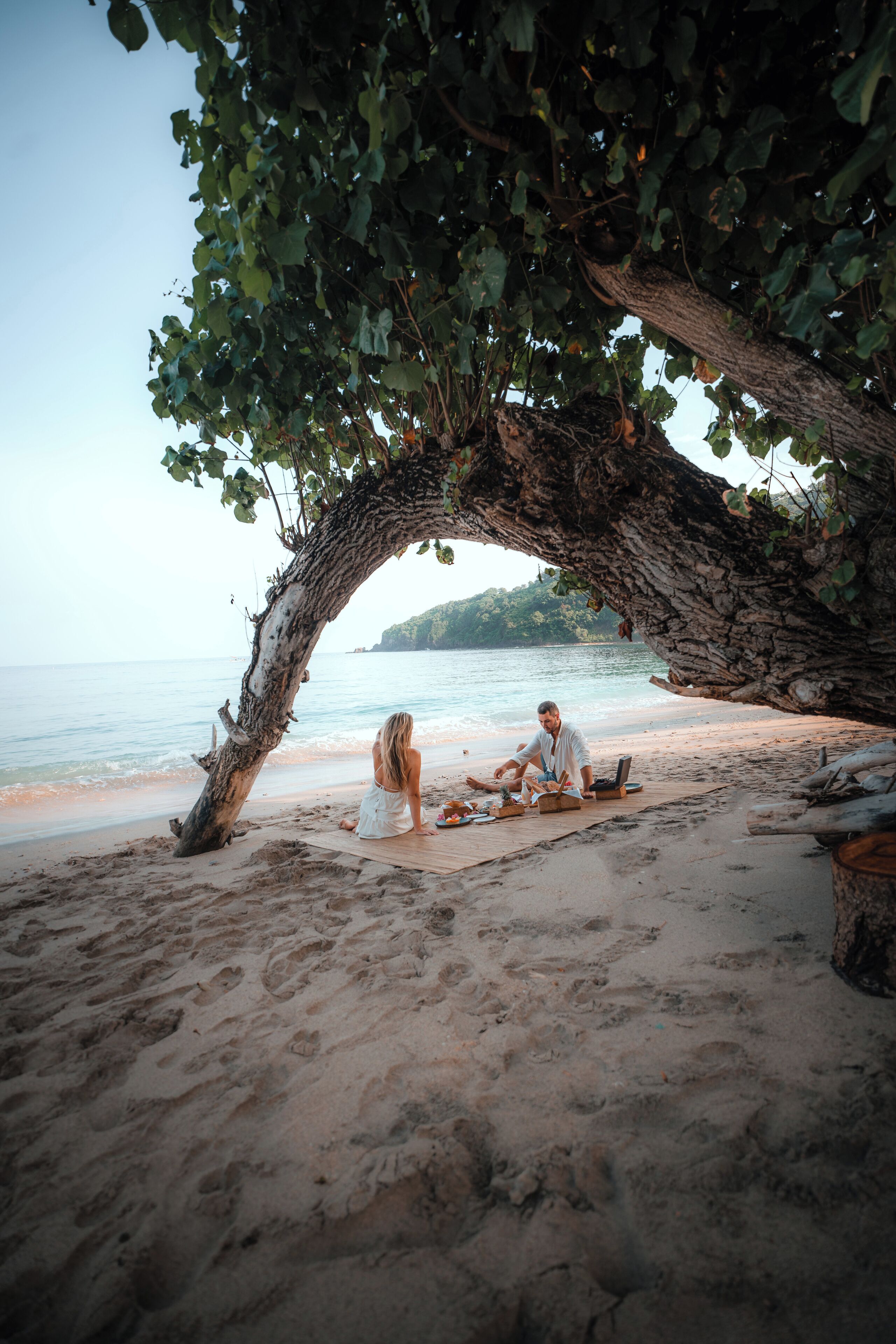 Escena de playa con un árbol grande que da sombra, una playa de arena y el océano al fondo.