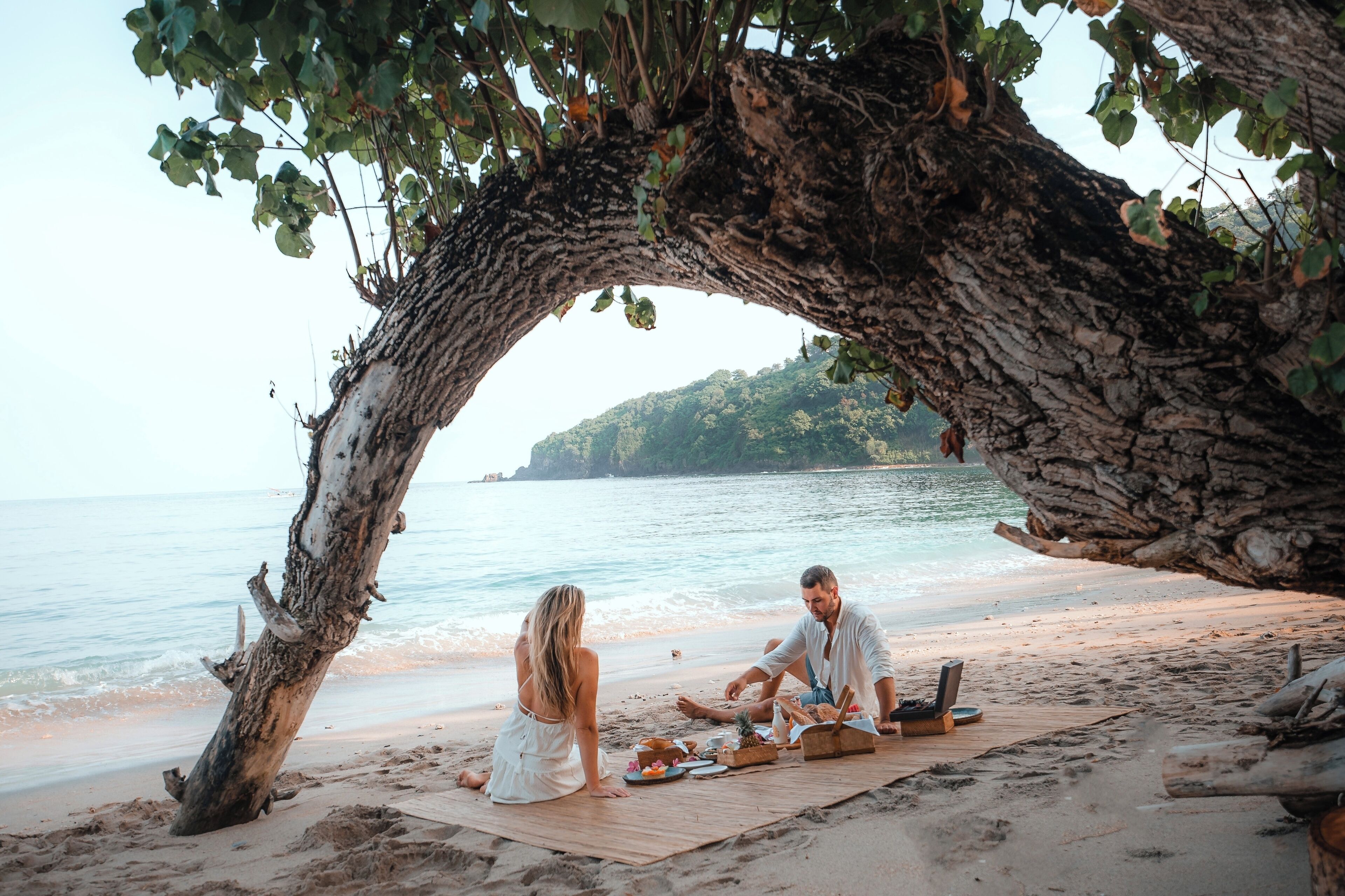 A beach scene with a large tree providing shade, a picnic setup, and a view of the sea and distant land.