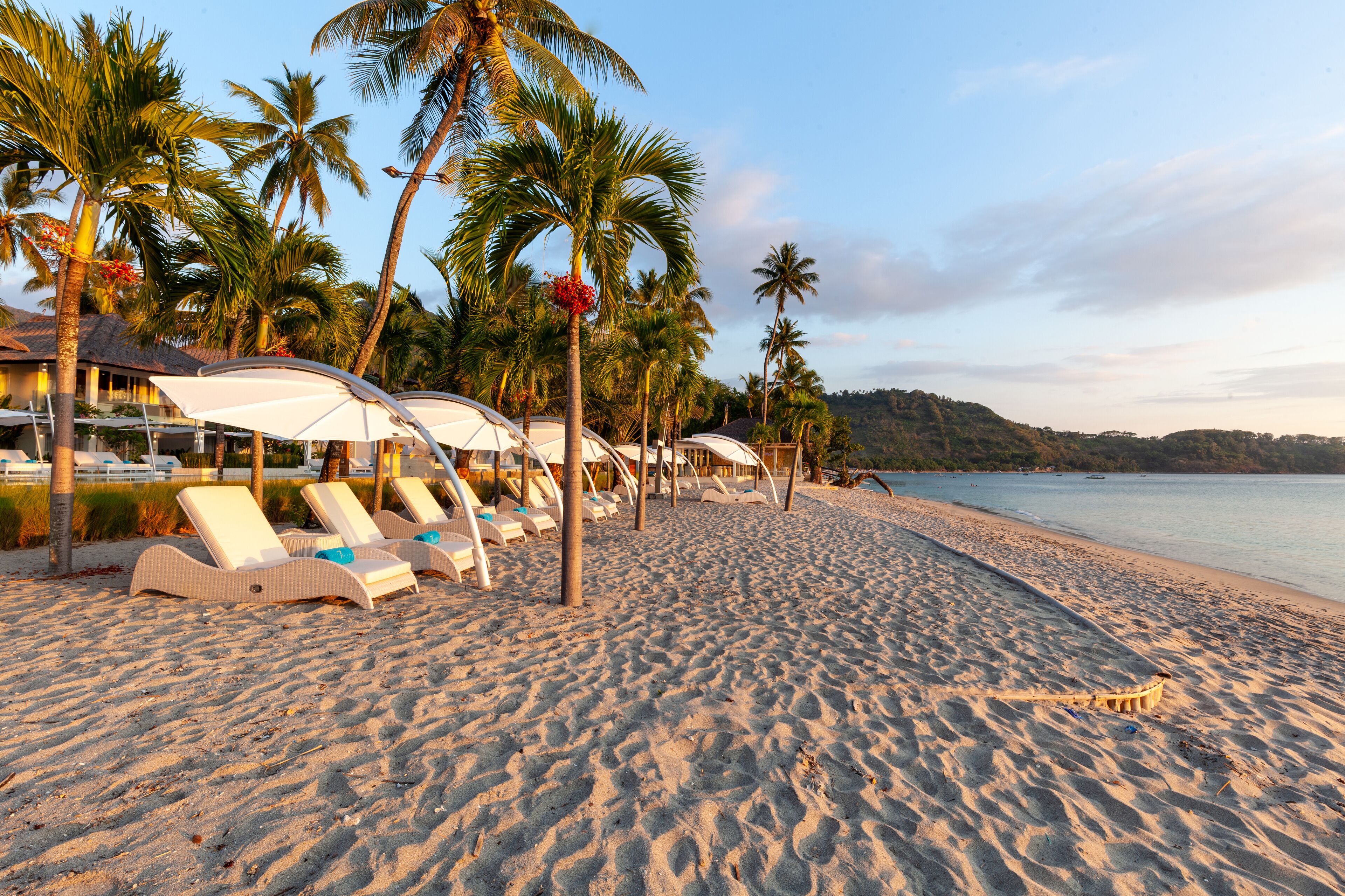 A beach with lounge chairs and umbrellas, palm trees, and a view of the sea.