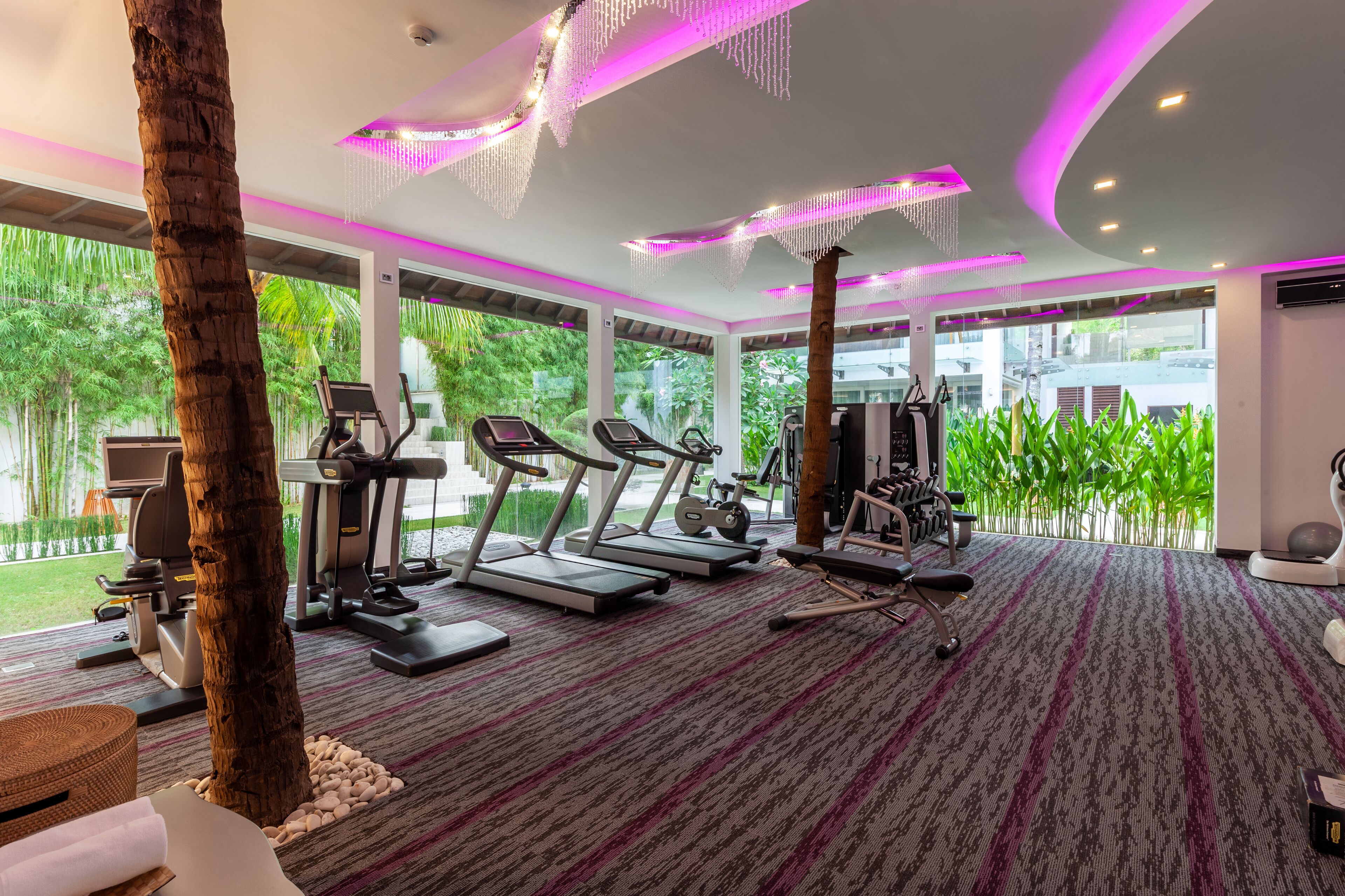 A modern gym with treadmills, stationary bikes, and weight machines, large windows, and a view of greenery.