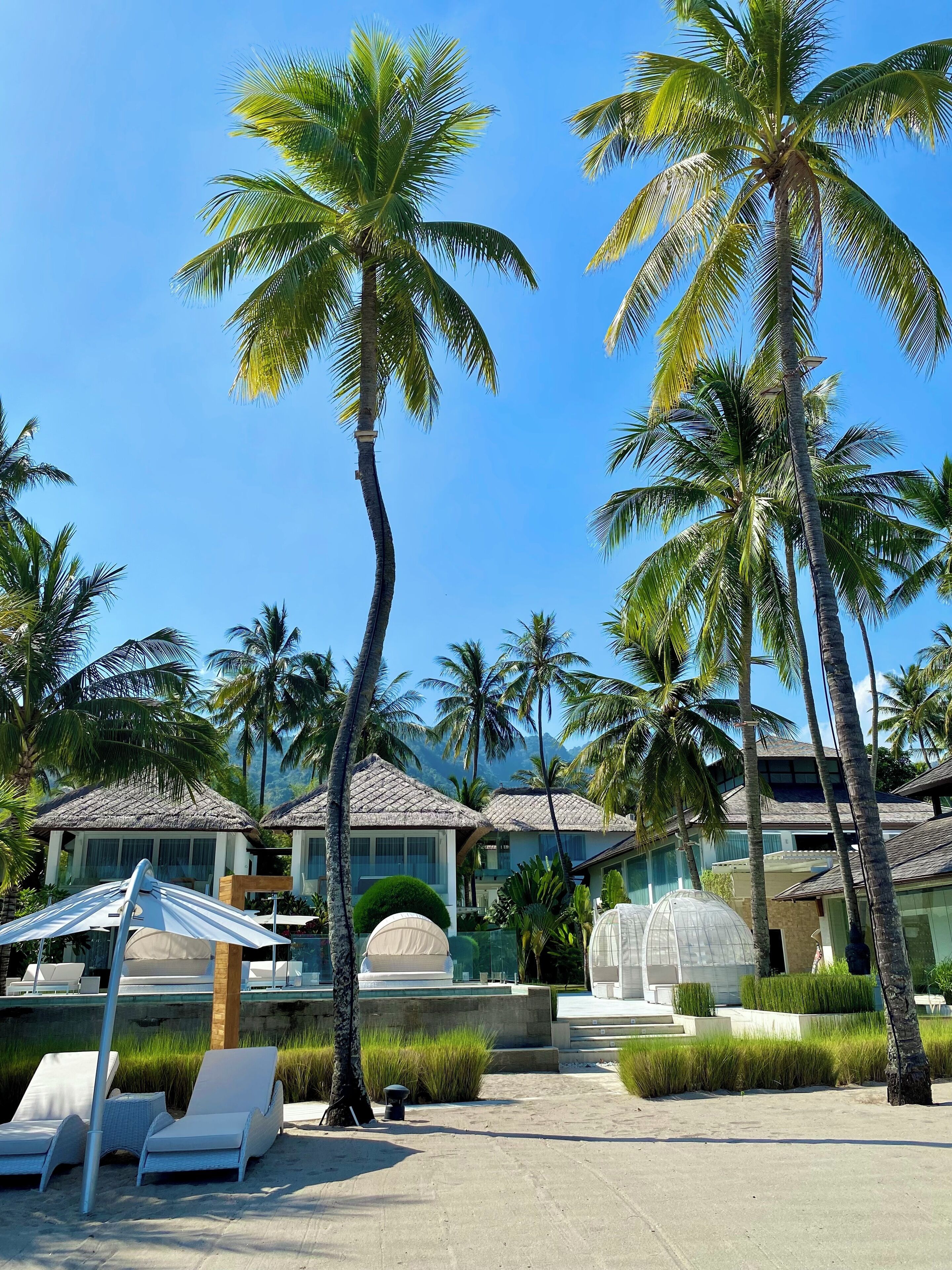 Un resort con palmeras, sillas de descanso y edificios con techo de paja.