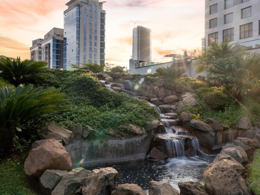 Servicio de la propiedad