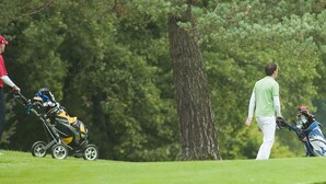 Ein Golfplatz mit einer Person in einem roten Hemd und einer weiteren in einem grünen Hemd, beide mit Golftaschen.