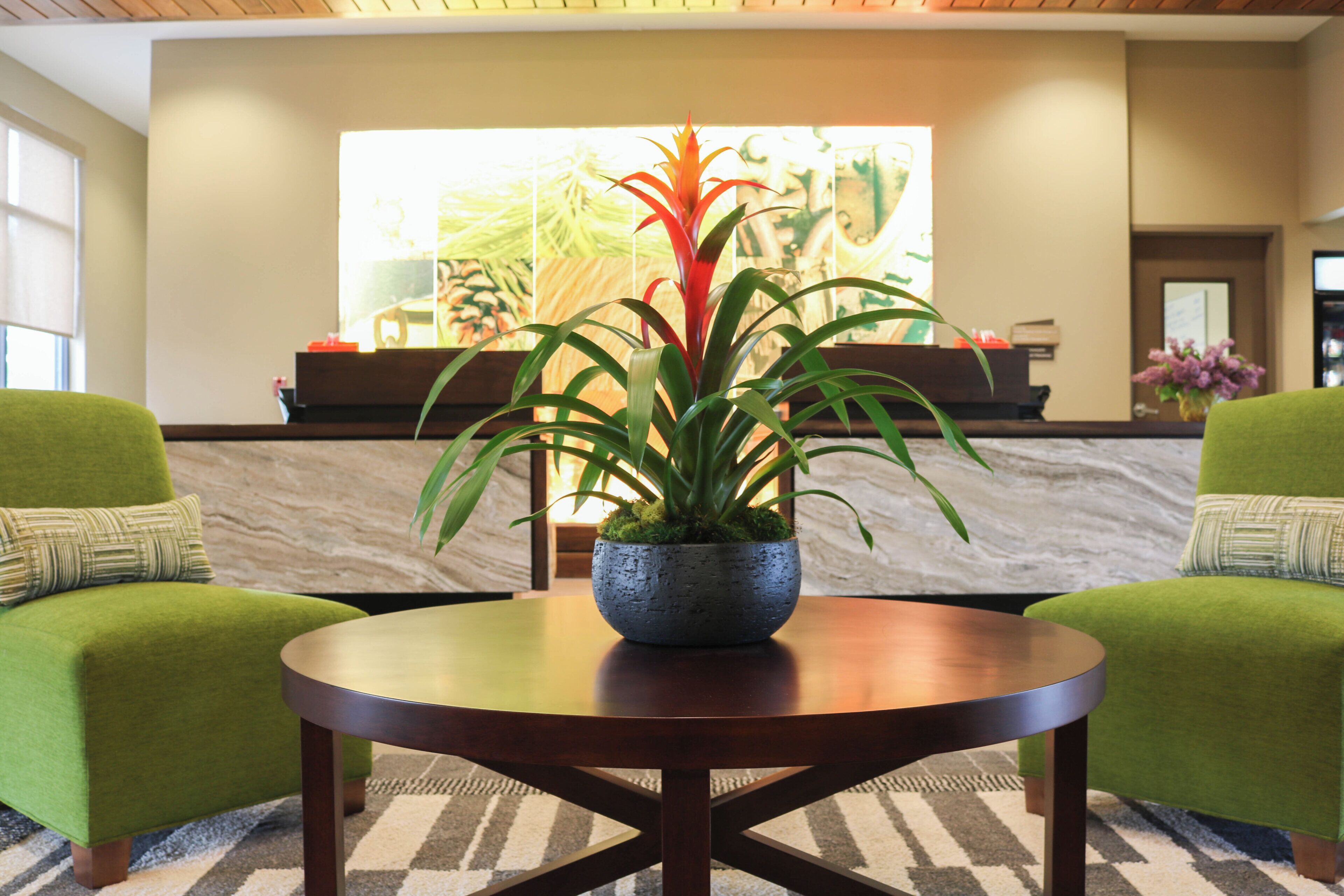 Un hall d’entrée avec un comptoir de réception, une plante en pot posée sur une table ronde et des fauteuils à revêtement vert.