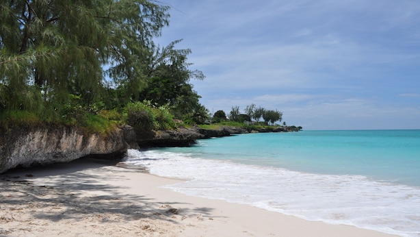 Una playa con agua turquesa cristalina, arena dorada y abundante vegetación.