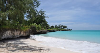 Yellow Bird Apartment