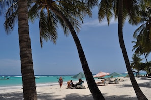 A beach with palm trees, a sandy shore, and a clear blue sky. - Yellow Bird Apartment (Silver Sands)