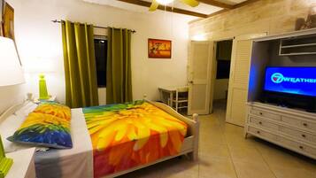 Un dormitorio con cama, televisor, escritorio y silla.