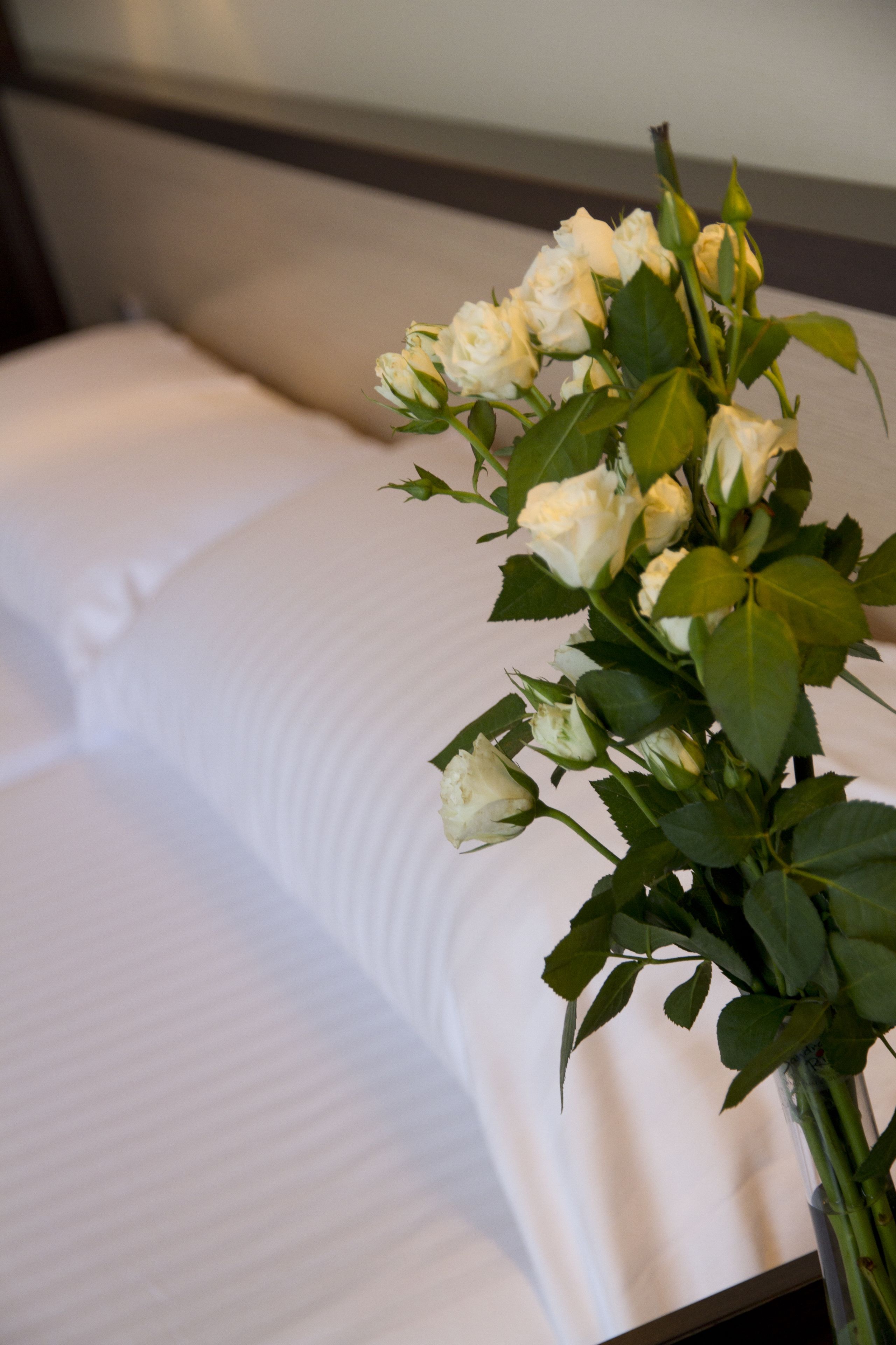 A bed with white linens and a vase with white roses.