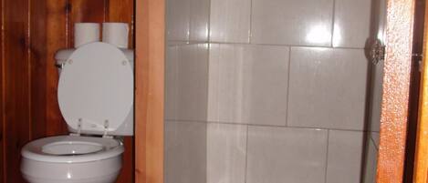 Un baño con inodoro, ducha y un tapete azul en el suelo.