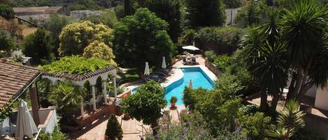 Outdoor pool, sun loungers