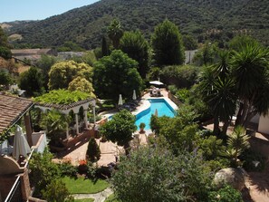 Outdoor pool, sun loungers