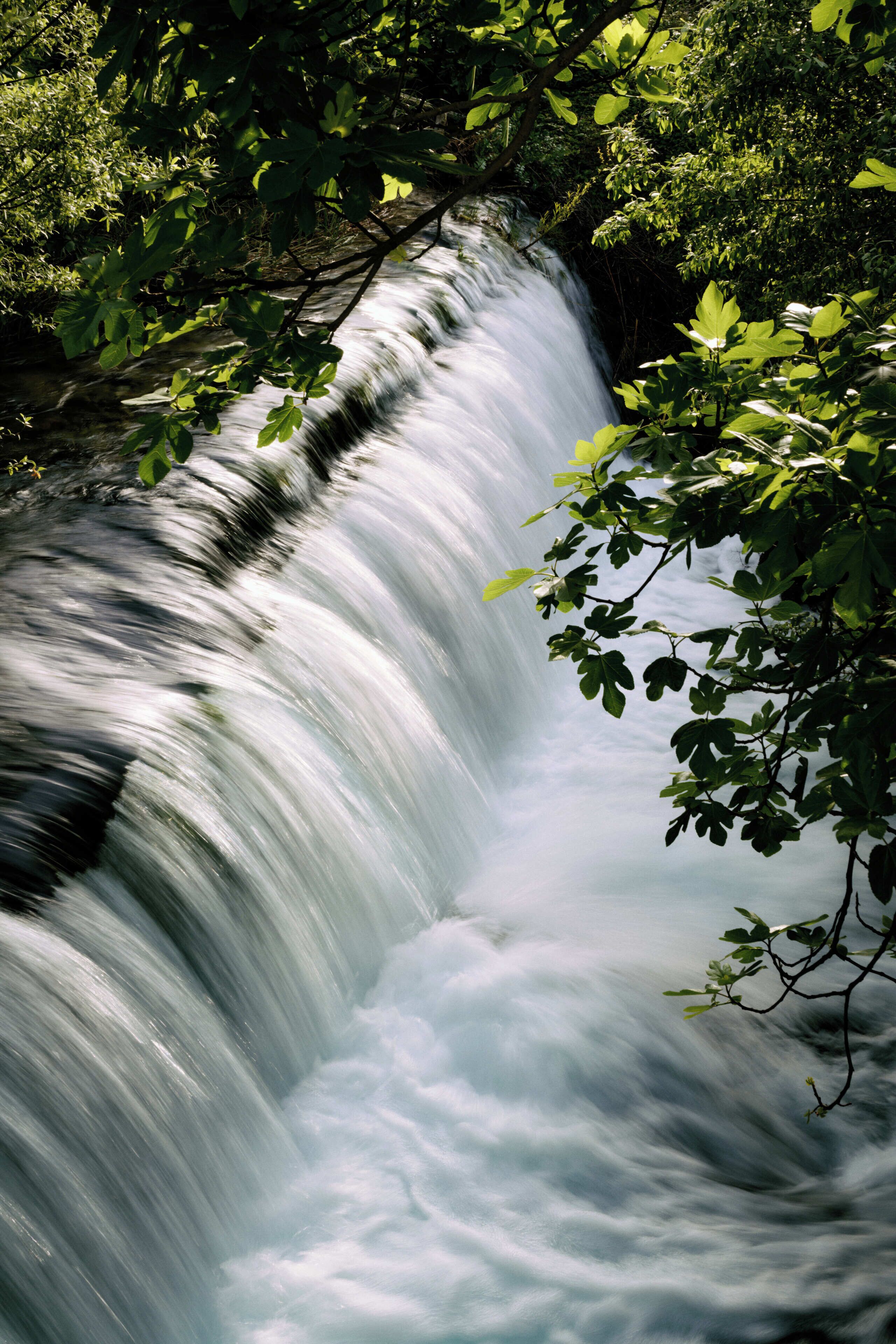 Una cascada rodeada de vegetación exuberante.