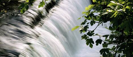 Une cascade entourée d’une végétation luxuriante.