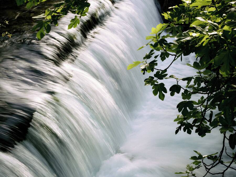 Una cascada rodeada de vegetación exuberante.