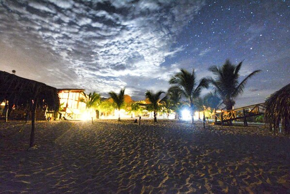 Una playa con palmeras y un edificio iluminado.