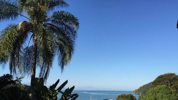 Una piscina a sfioro con lettini, palme e vista sull'oceano.