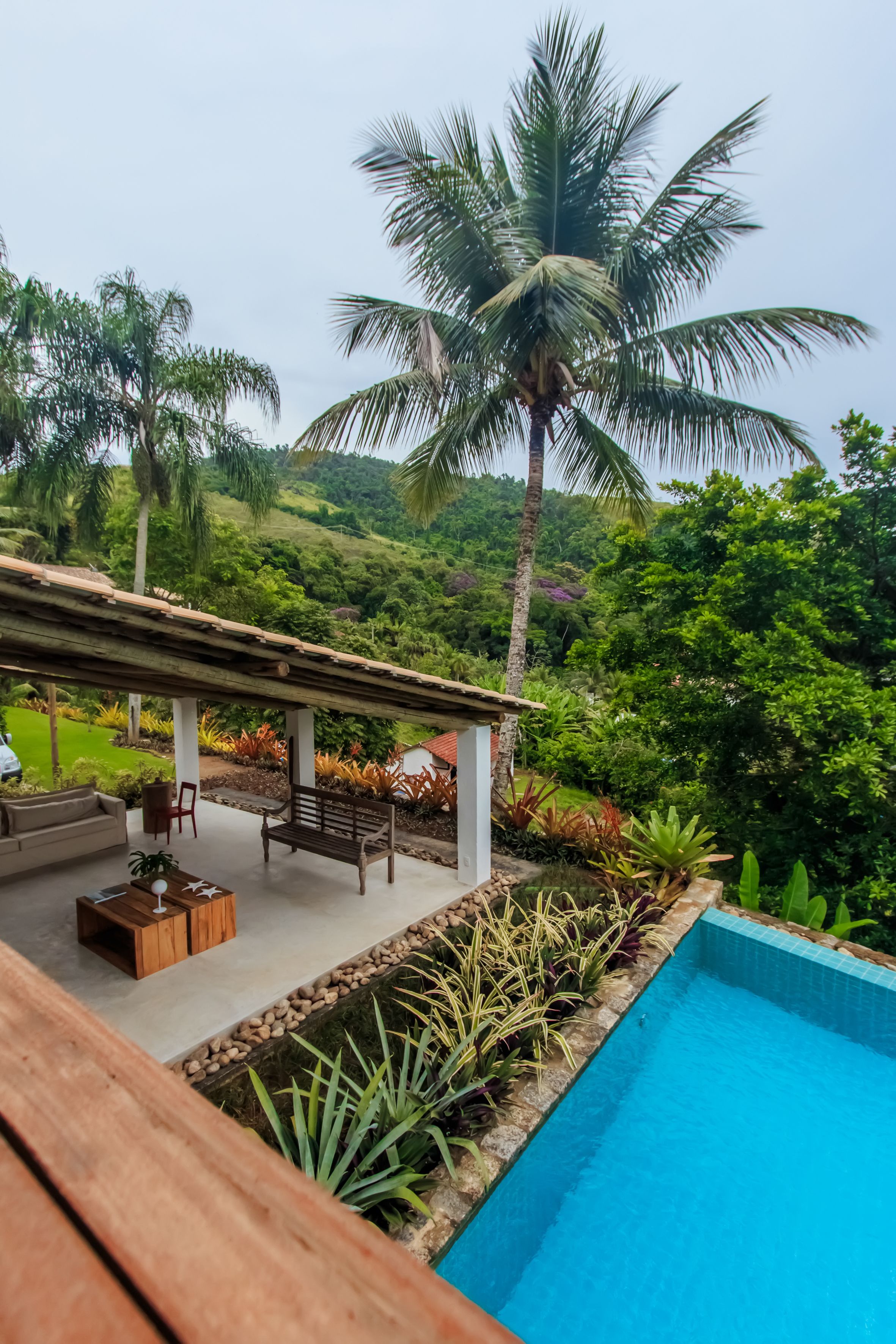 Zona de piscina con terraza de madera, asientos y vista a vegetación exuberante y una palmera.