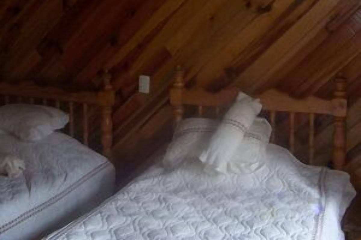 Cabin, 3 Bedrooms | 1 bedroom, free WiFi
