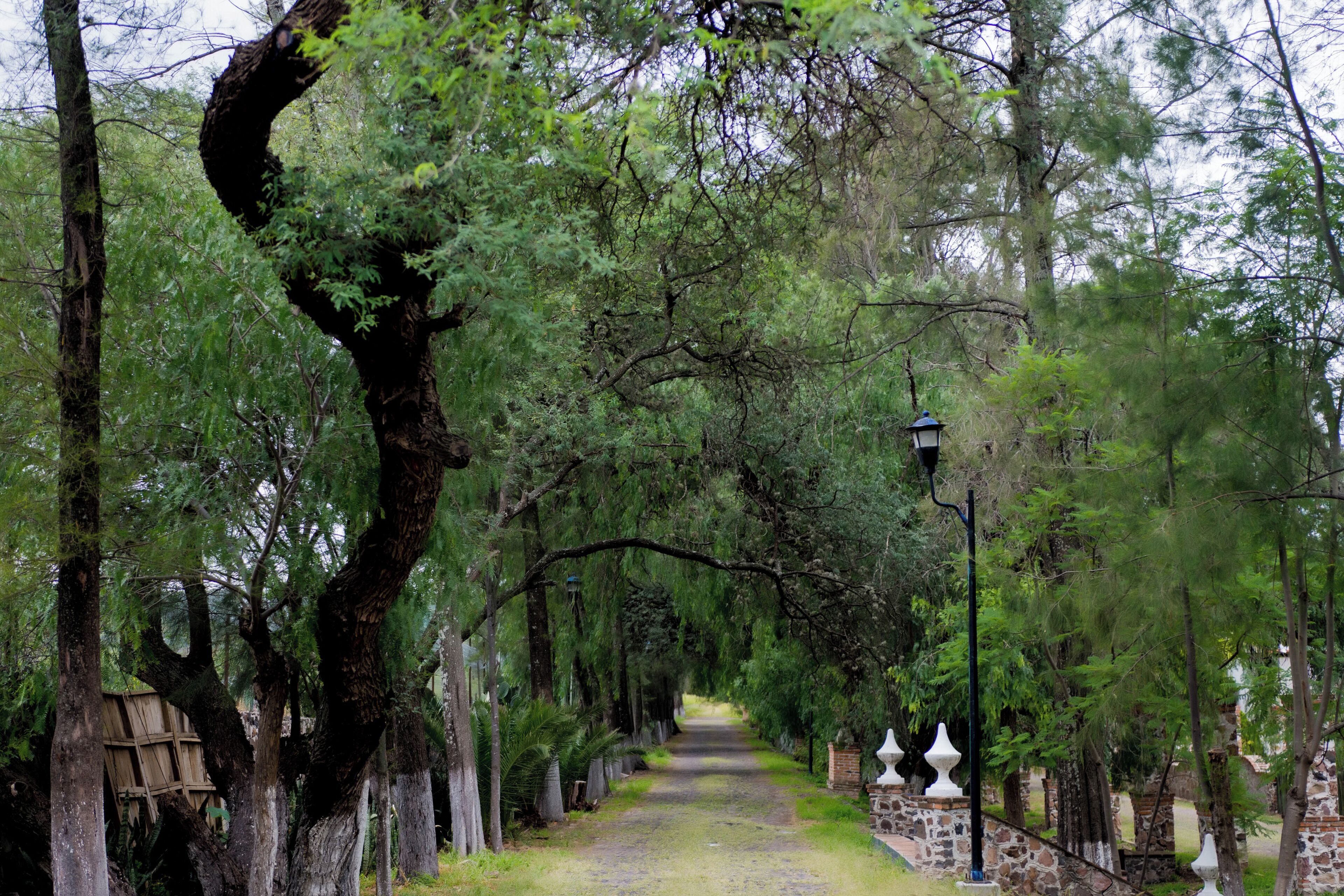 Foto - Hotel Ex Hacienda La Pitaya Querétaro