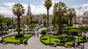 Una plaza pública con palmeras, bancos y un edificio grande con una torre del reloj.