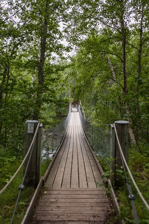 Un puente colgante de madera rodeado de densa vegetación verde.