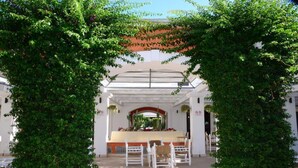 Teras/patio